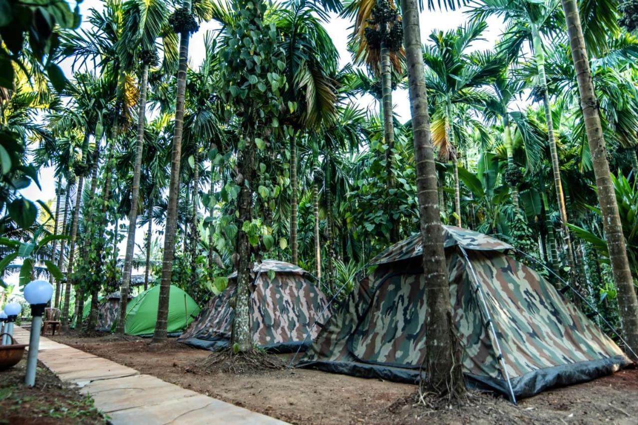 Dandeli Goldfinch Resort Buitenkant foto